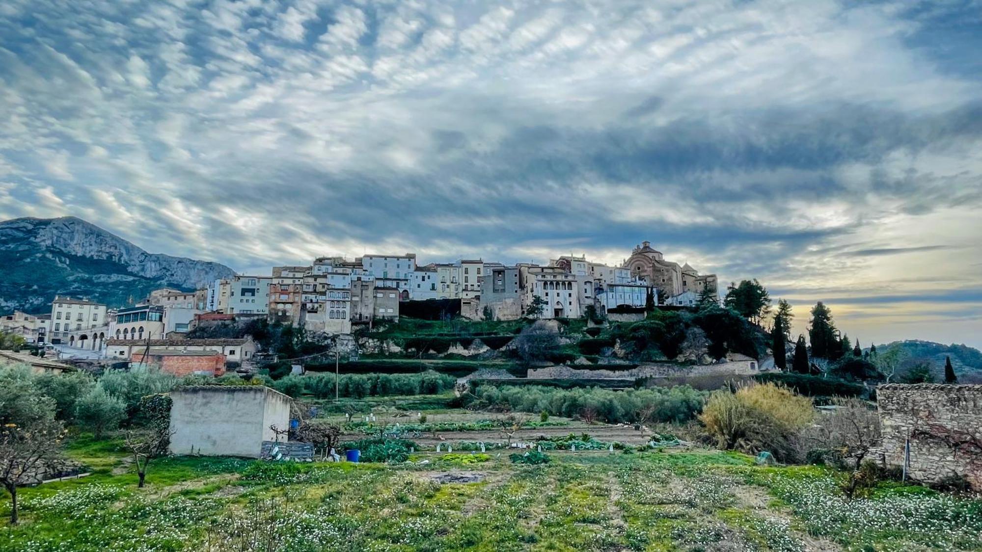 Apartament Rural Monetze Tivissa Kültér fotó